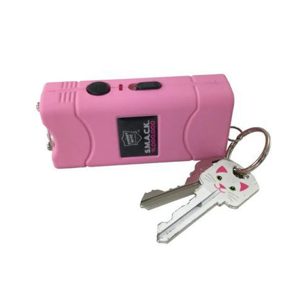 Stun Gun & Flashlight For Self Defensive